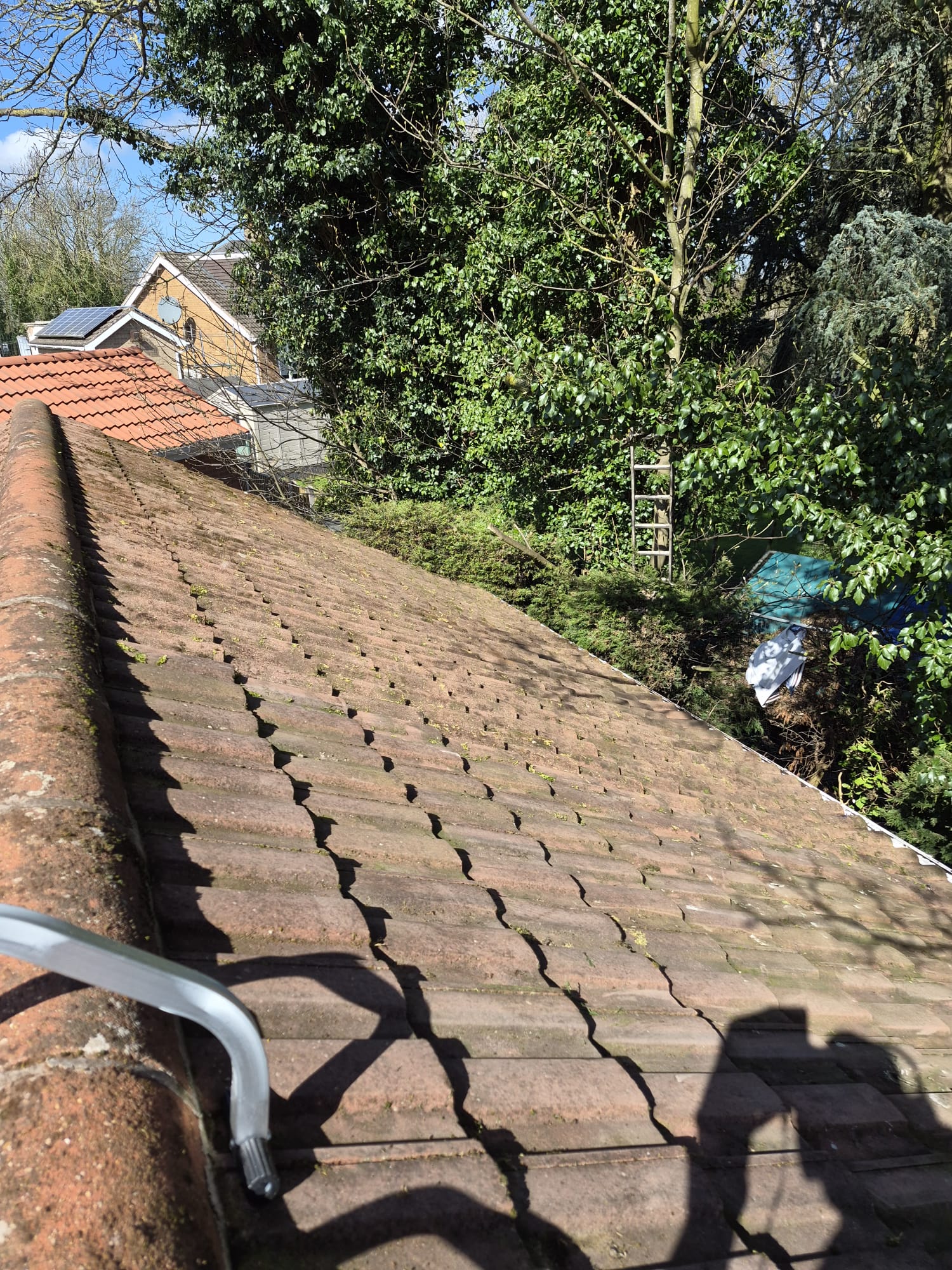 Roof moss removal — after